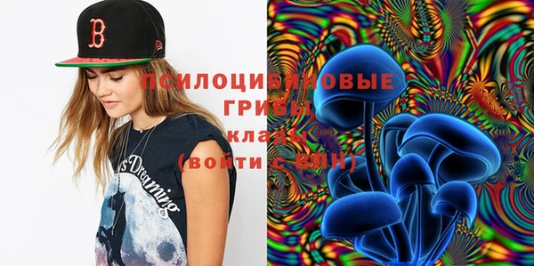 эйфоретик Лабытнанги