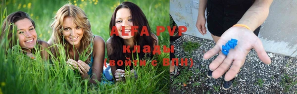 таблы Ладушкин