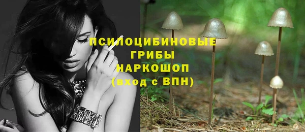МДМА Лагань