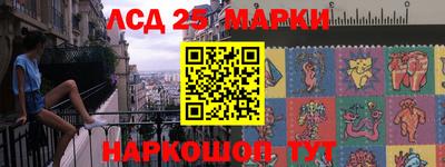 a pvp Новозыбков