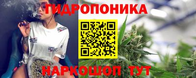 a pvp Новодвинск