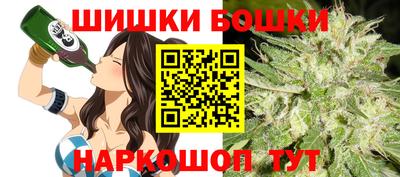 a pvp Новозыбков