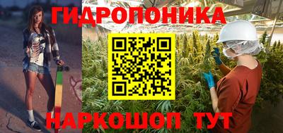 a pvp Новозыбков