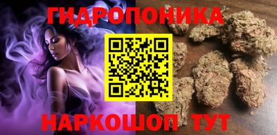 a pvp Новозыбков