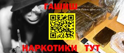 a pvp Новозыбков