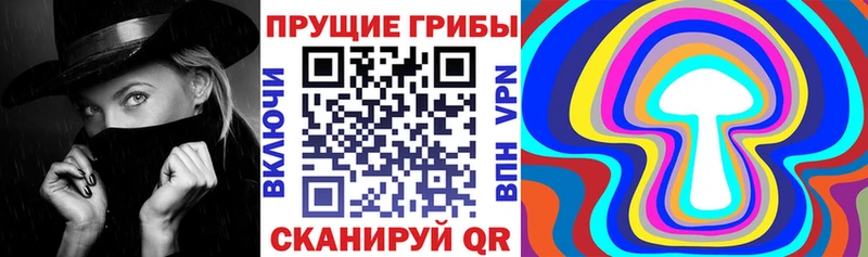 omg как войти  Электросталь  Галлюциногенные грибы Cubensis  цена  
