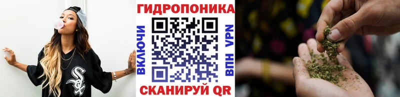 даркнет как зайти  Электросталь  Марихуана конопля 